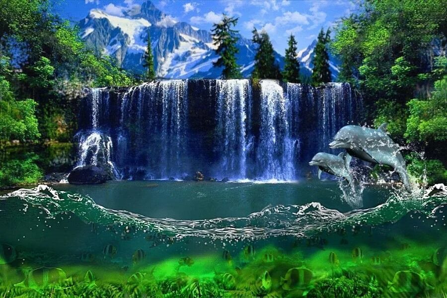 2 live natural. Красивые водопады. Живая природа водопады. Пейзаж водопад. Живые водопады.