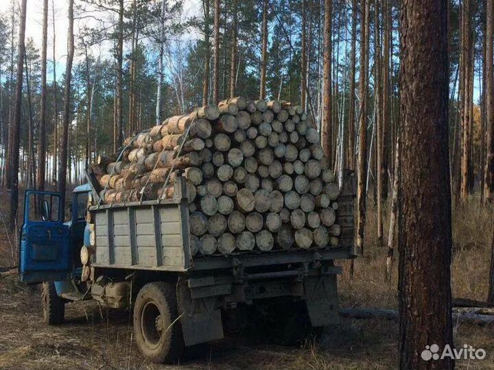 КАМАЗ дров 10 кубов. КАМАЗ дрова кругляк 4м. КАМАЗ 43118 С дровами чурками. Дрова листвяк КАМАЗ.