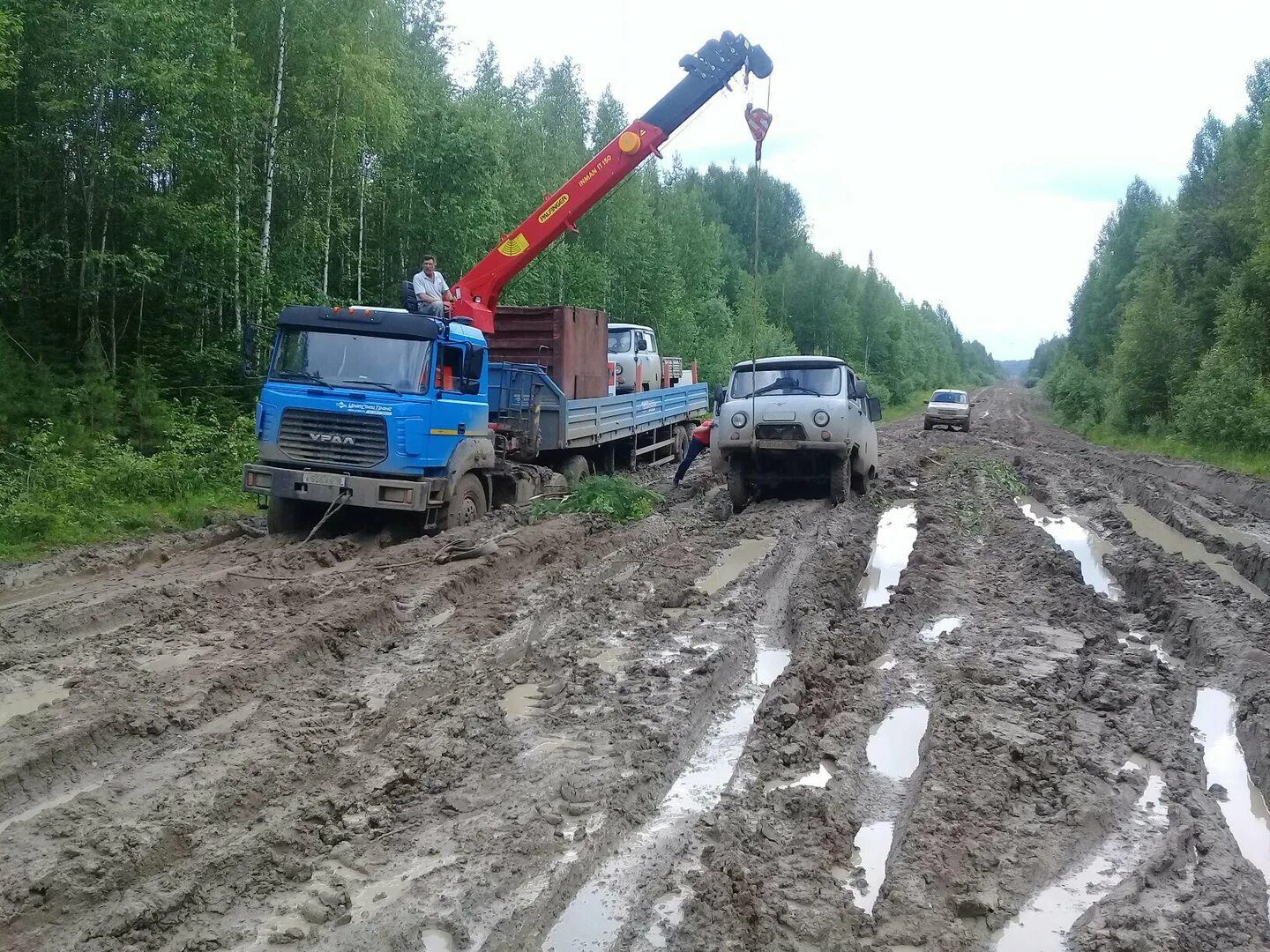 Дорога кедровый томск. Дорога парбиг кедровый. Томская область город кедров. Население кедровый томская область. Гисметео кедровый томская.