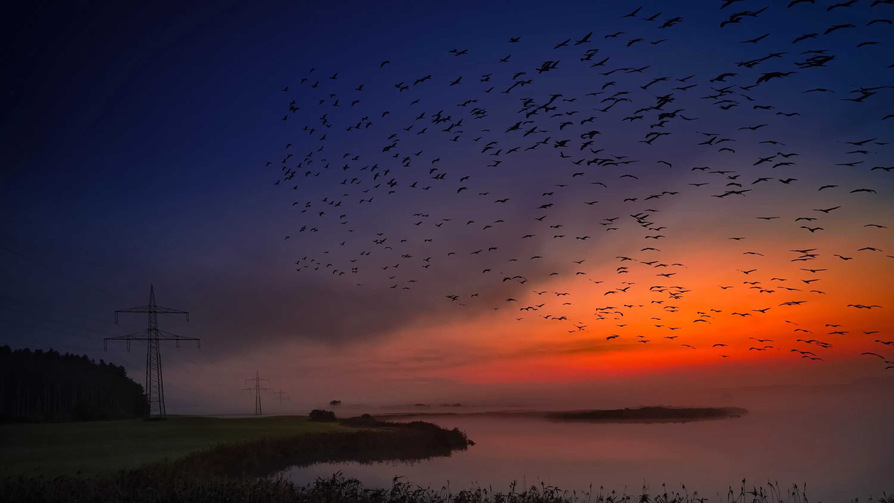 Рассвет птицы в небе. Sunrise bird. Закат с птицами в небе. Sunrise bird. Sunrise bird.