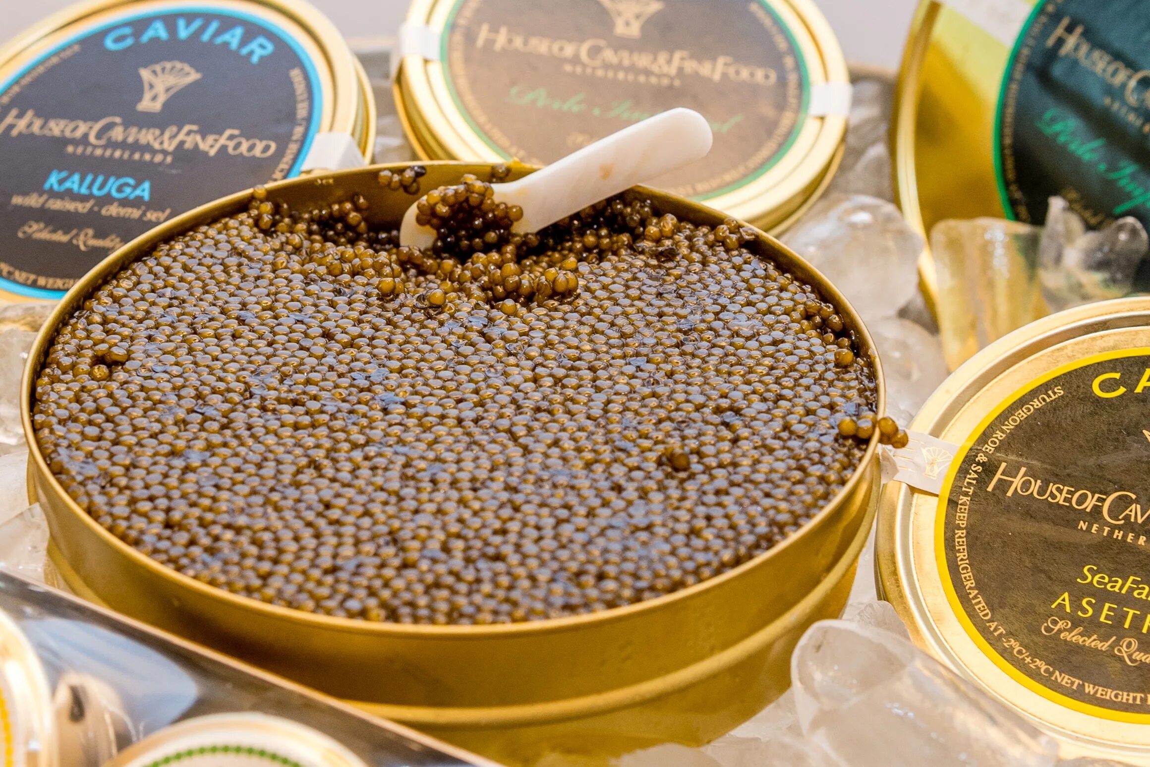 В ней паюсный деликатес 8 букв. Caviar икра Золотая. Черная икра. Искры на черном. Черная икра Caviar.