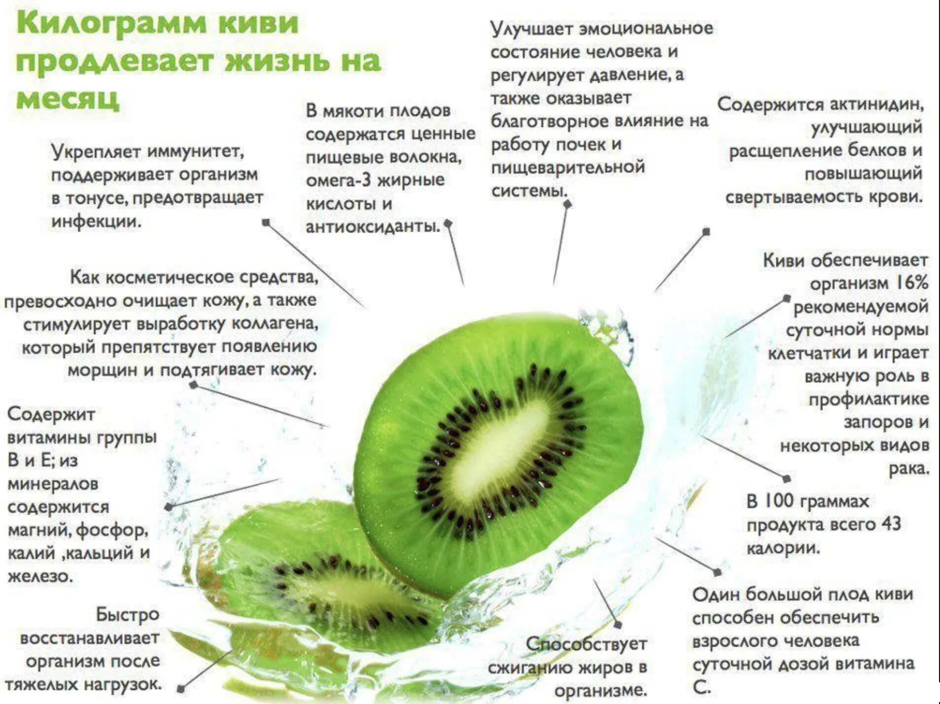 Как сделать чтобы киви быстрее дозрели. Из чего состоит киви. полезное ли киви фрукт. чем полезен киви для организма человека. для чего полезен киви.