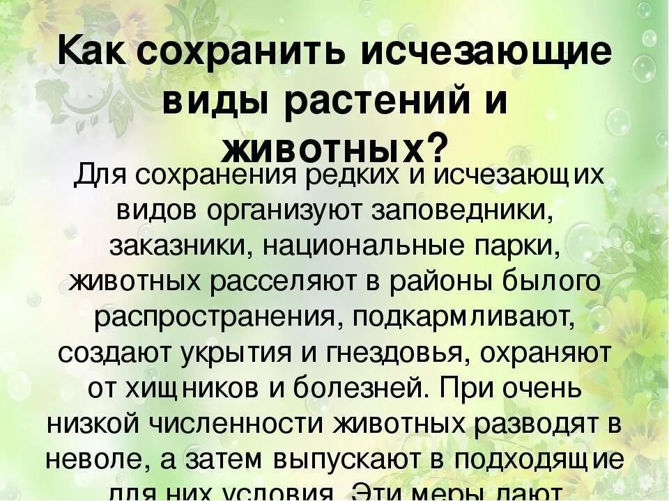 Как можно сохранить растения. Как можно сохранить исчезающие виды животных и птиц. Как сохранить исчезающие виды животных и растений. Условия сохранения редких видов животных. Как можно сохранить вымирающие виды животных.