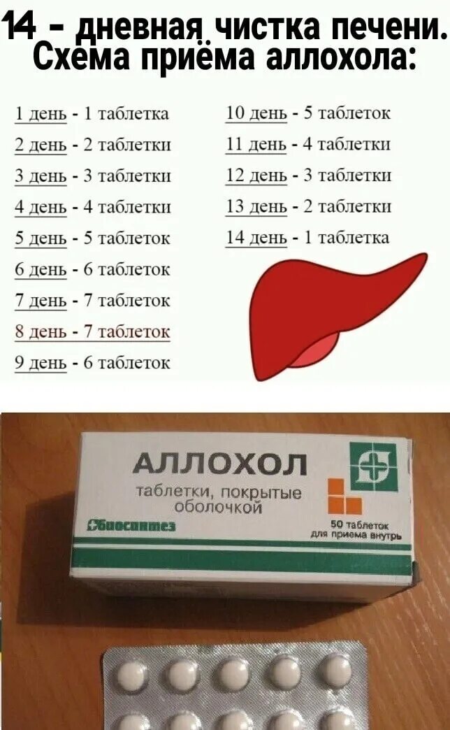 1 табл в день. Чистка печени аллохолом. таблетки для печени. аллохол схема чистки печени. таблетки для чистки печени.