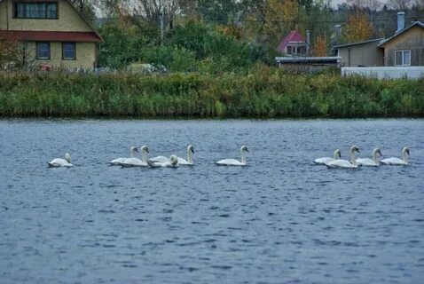 Погода запрудня талдомский