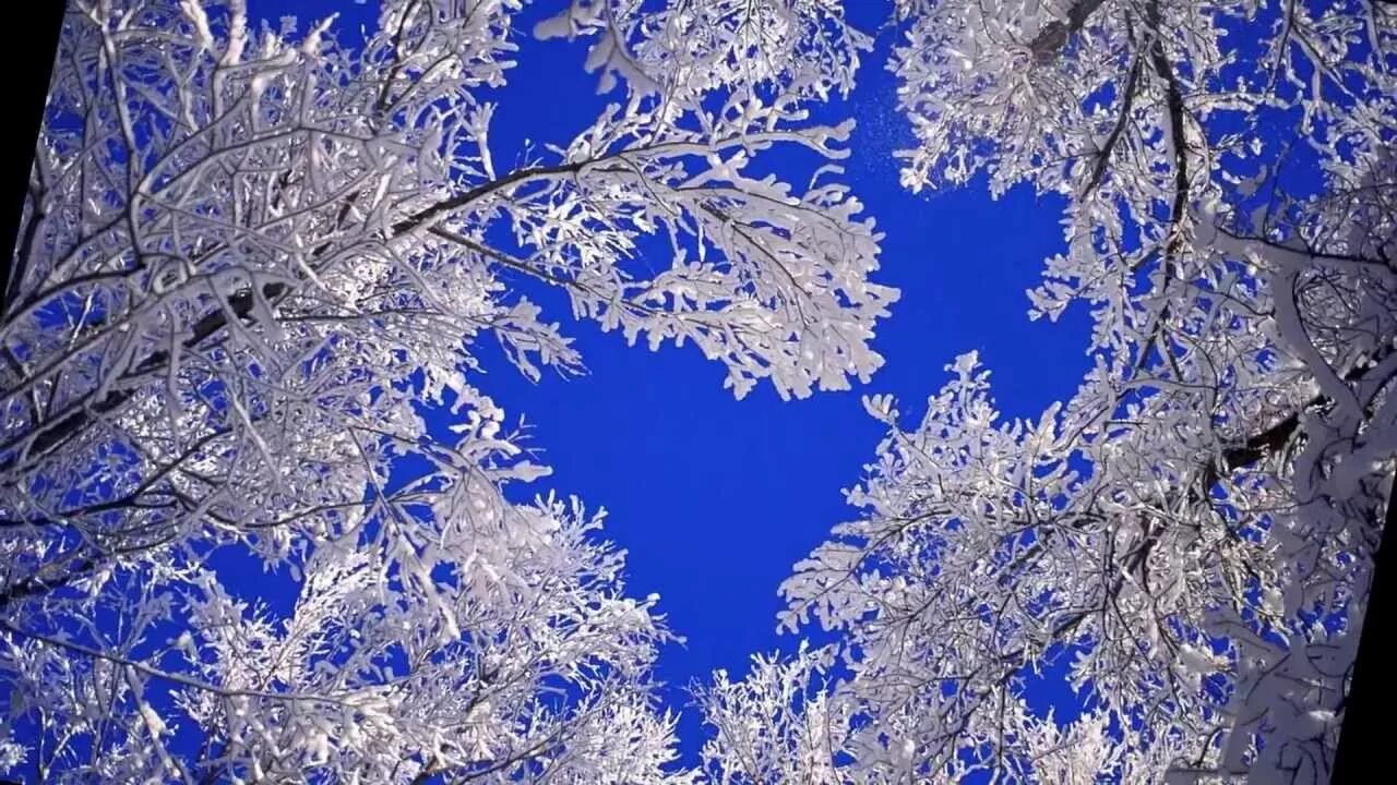 Открытки с зимним пейзажем. Презентация на тему зима. Зимушка-зима заморозила меня. Красивые отоичного дея с зимними пейзажами. Зимушка.