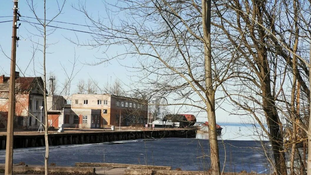 Погода в ленинградской сейчас. Погода в Ленинградской. Погода по Ленинградской области.