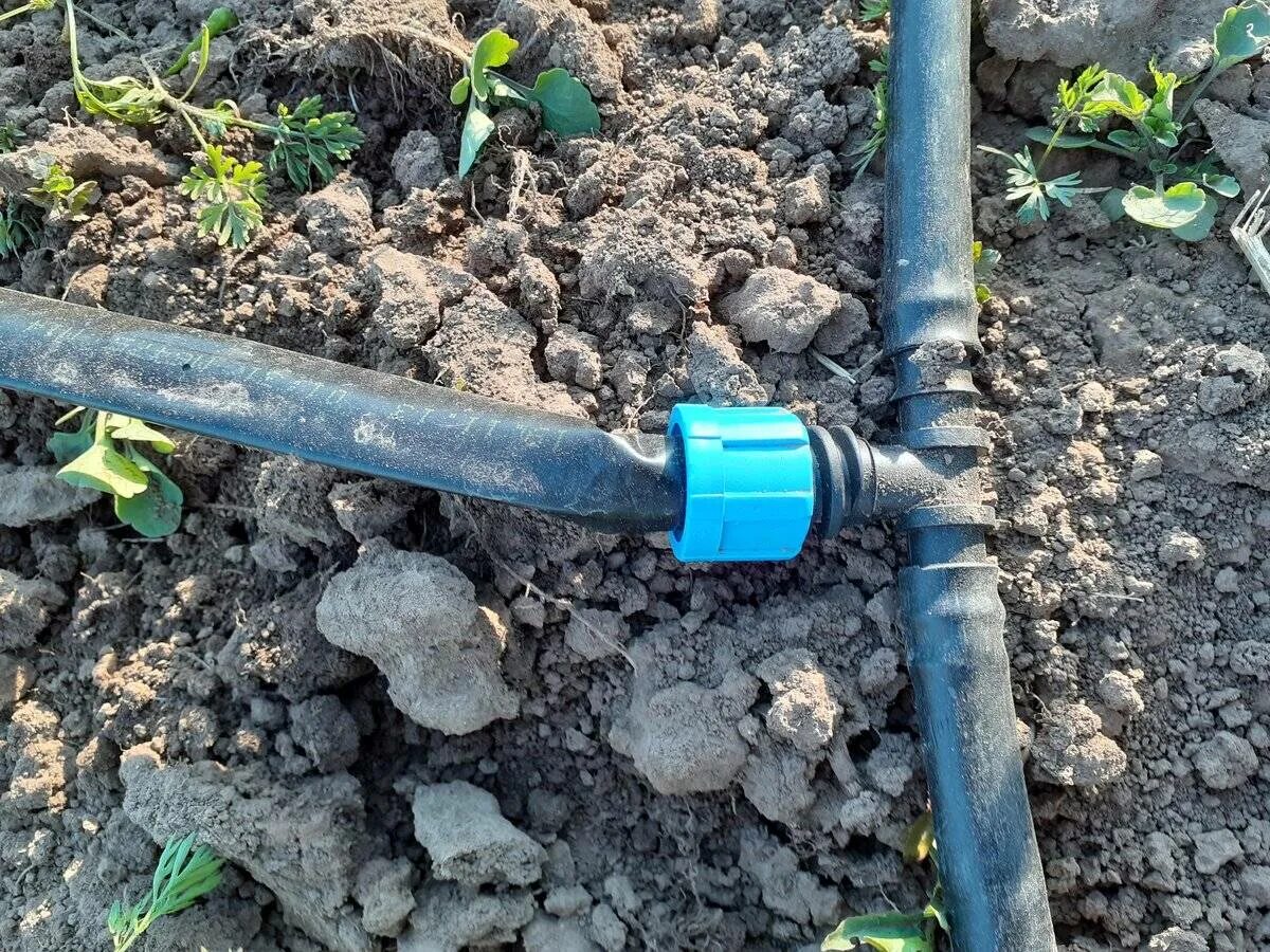 Капельный полив из полиэтиленовой трубы. Капельный полив труба полипропилен. Капельный полив из пластиковых труб своими руками. Полив теплицы. Автополив в теплице.