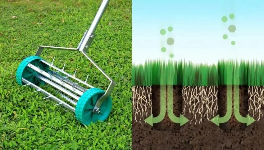 Как поливать газон правильно? Рулонный газон и посевной газон GREEN GAZON Дзен
