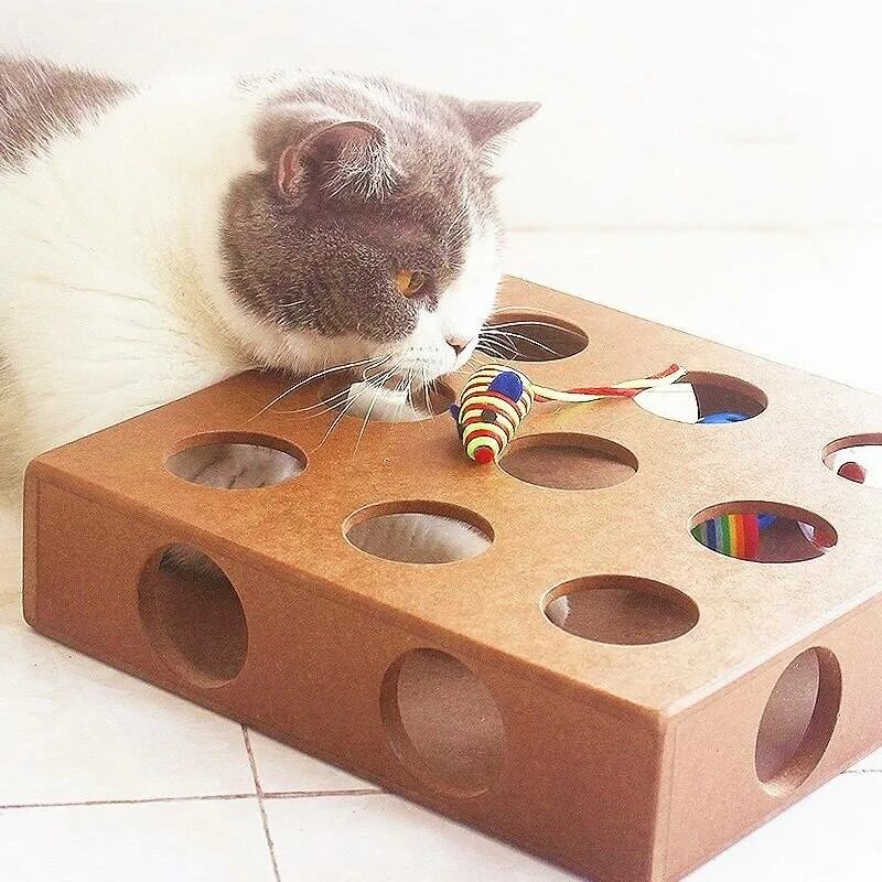 Какую игрушку можно сделать коту