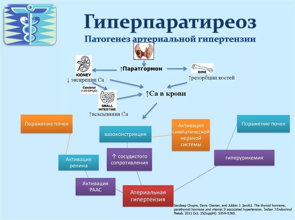 Гиперпаратиреоз патогенез патофизиология. Этиология первичного гиперпаратиреоза. Гиперпаратиреоз механизм развития. Гиперпаратиреоз этиология патогенез.