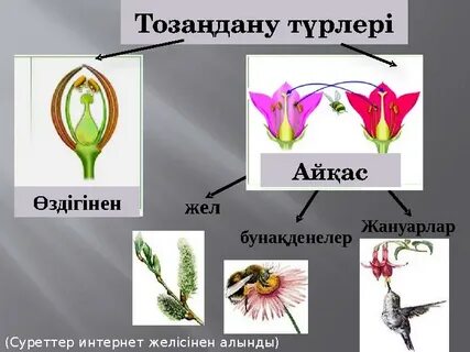 Райли Рид порно видео