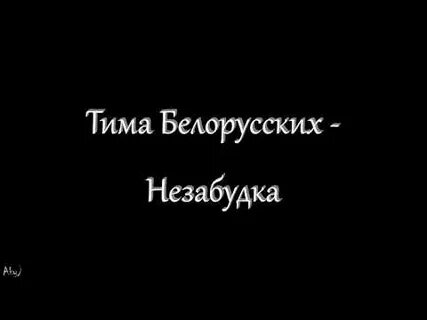 Незабудка аккорды тима