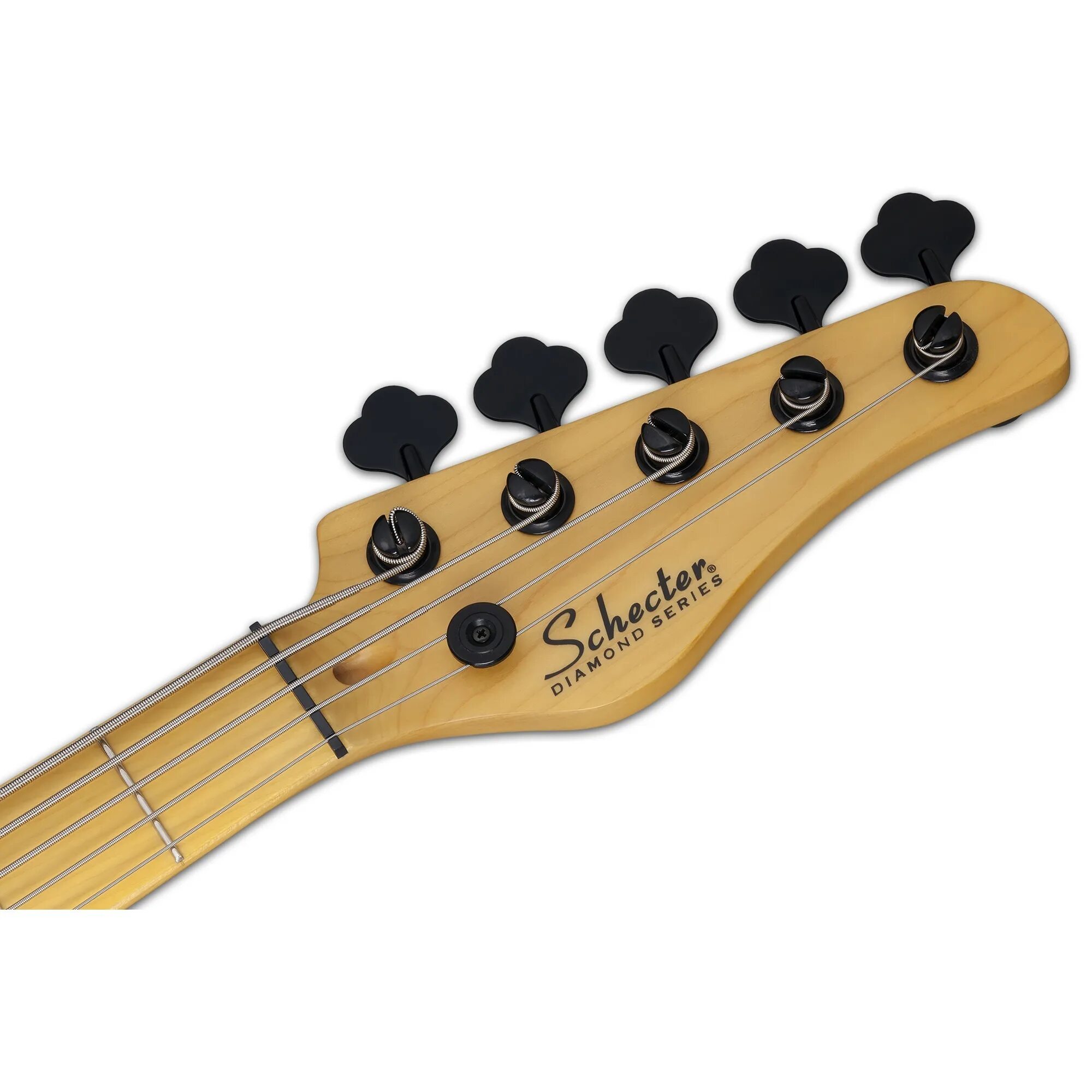 Бас гитара модели. Schecter model-t session-5 ans. модели гитар. гитара модель 335. francisco gonzalez гитара модель номер a-300 yw.