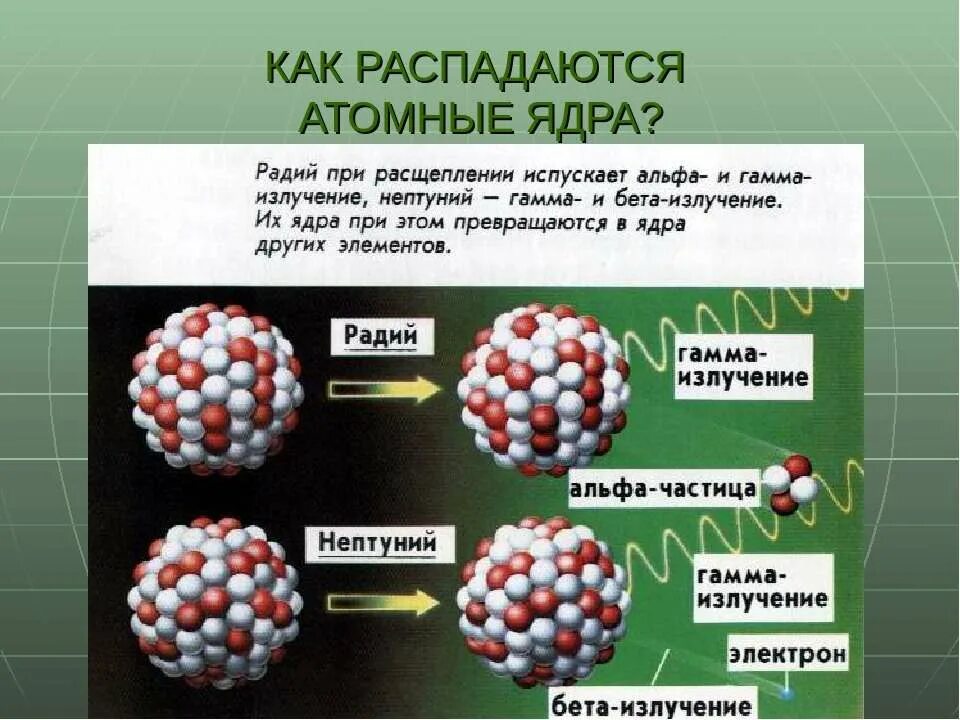 Ядра изотопа претерпевают альфа распад