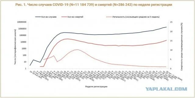Грипп статистика сегодня. Сезонность гриппа статистика. Диаграмма гриппа. Сезонность гриппа в России. Сравнительный график летальности гриппа.