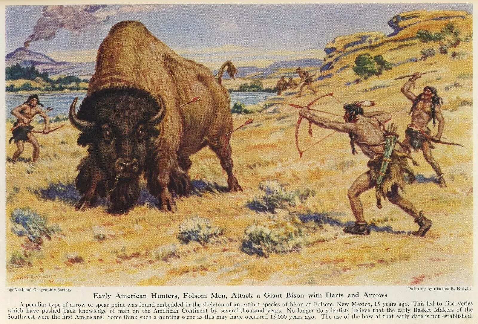 Первобытный спорт. Охота первобытных людей на бизонов. Древний большерогий Бизон. Степной Бизон вымерший.
