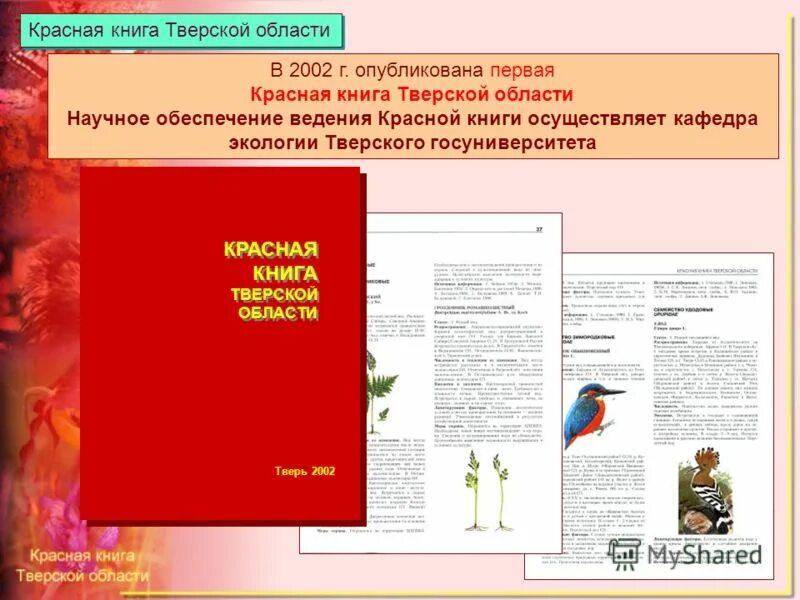 Животные Тверской области занесенные в красную книгу. Птицы и животные занесенные в красную книгу Тверской области. Красная книга Тверской области. Красная книга Тверской области книга. Ведение красных книг