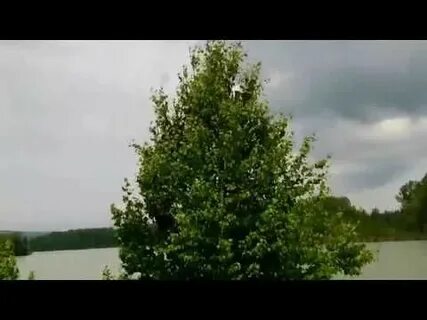 Березонька песня ремикс