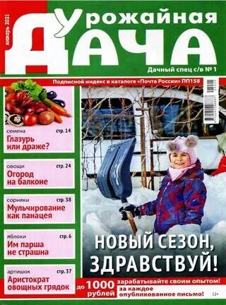 Сад и огород российский журнал. Журналы дача огород. Журналы дача огород. Обложка журнала дача. Журнал дачный участок.