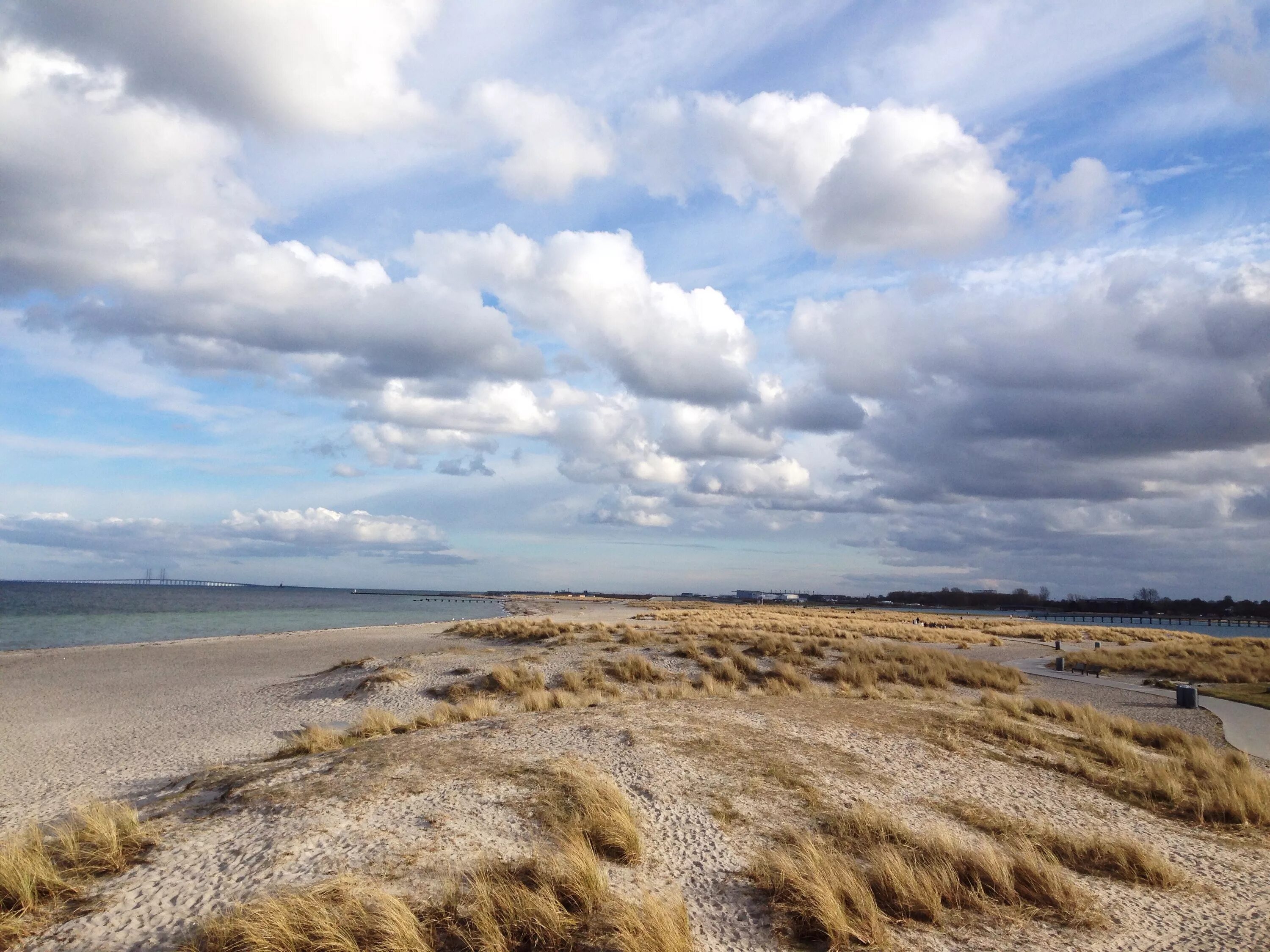 Керчь степь. Жемчужина степи крым. Степи черного моря. Саки степь и море. Евпатория крым степь.