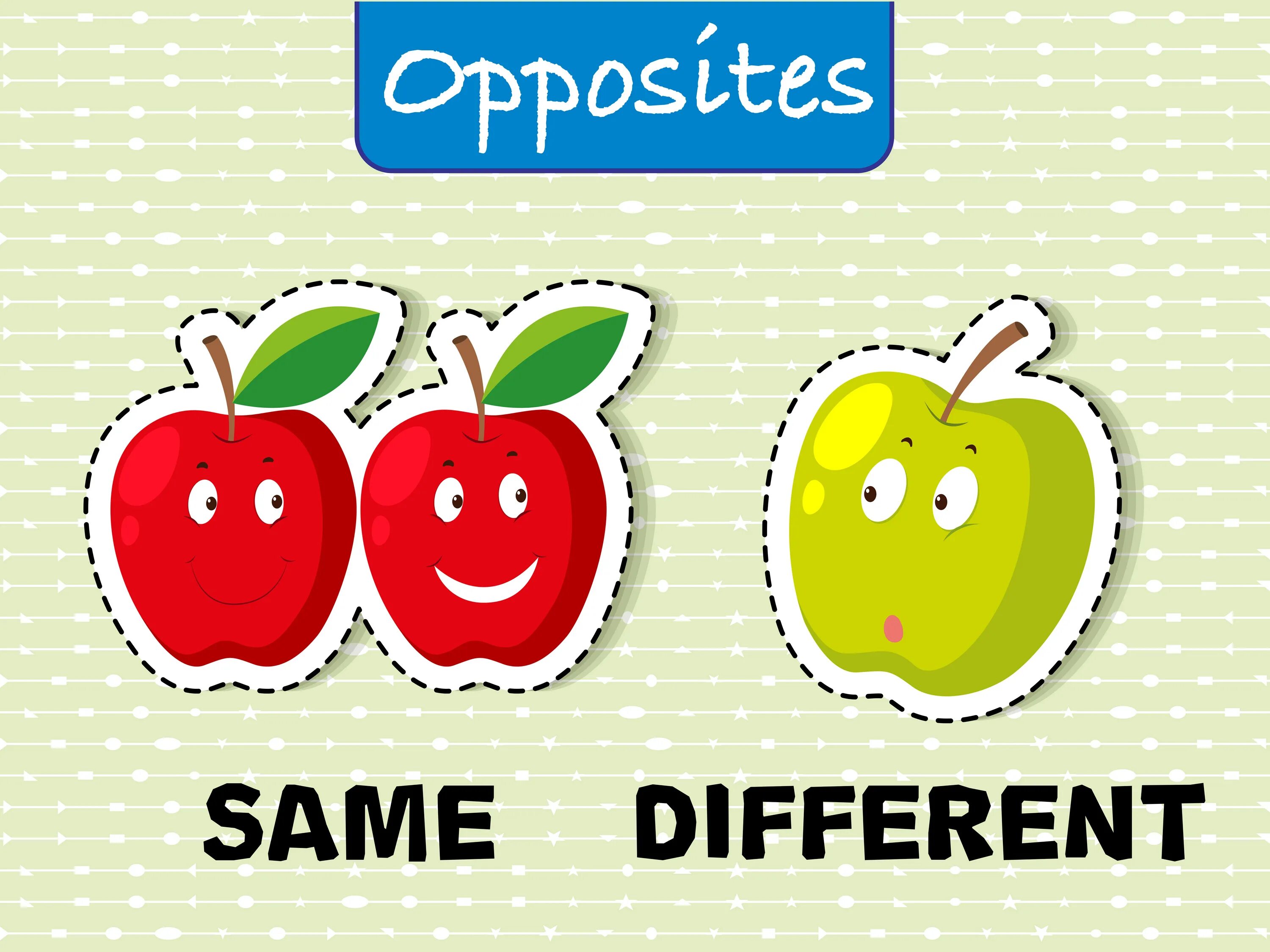 Same similar. Same different. Same and different for Kids. Same different Flashcards. Same or different for Kids.