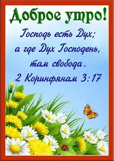 Отзывы о добром утре