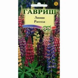 Люпин аромат