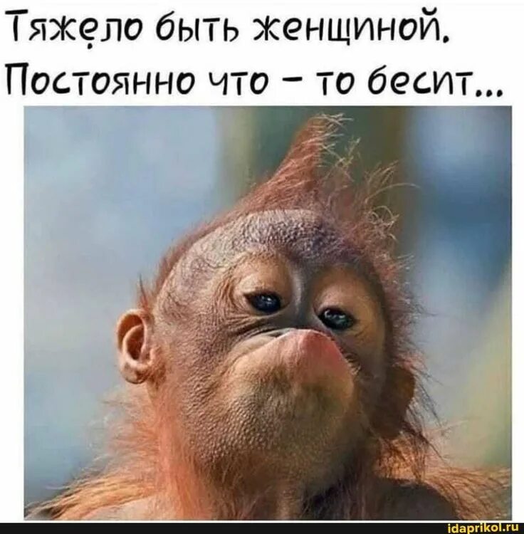 И как оно быть красивой такой
