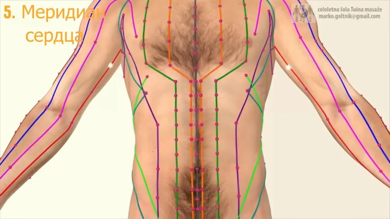 Меридианы человека. Акупунктура меридианы китайская медицина. Артховикс меридиан. Меридиан термин. Meridians and parallels.