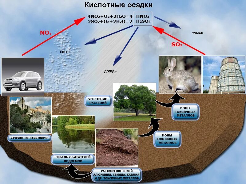 Влияние человека на экосистемы. Влияние деятельности человека на экосистему. Отрицательное влияние человека на экосистему. Влияние человека на экологические системы.