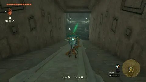 Zelda fps