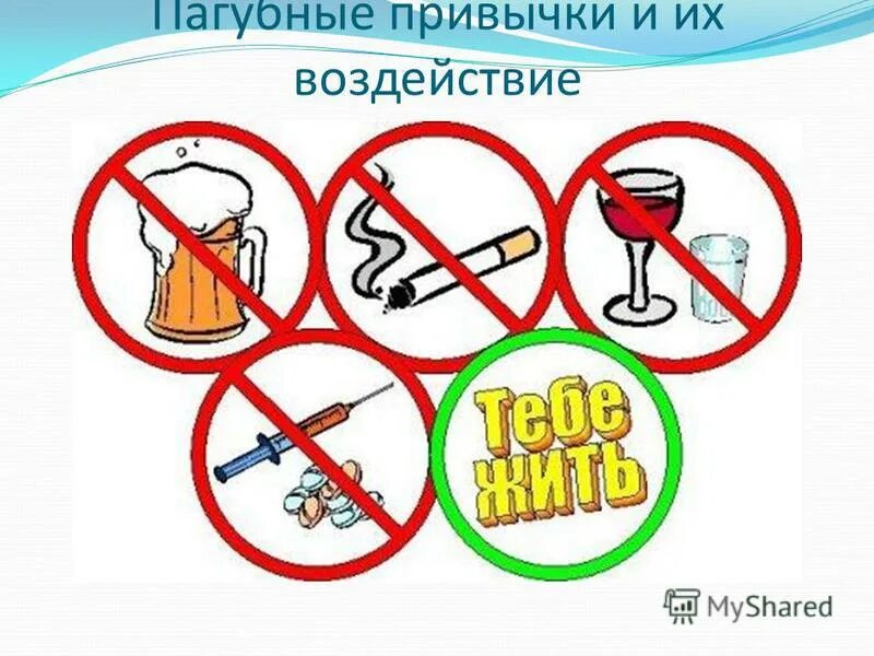 акция мы против вредных привычек. акция спорт альтернатива пагубным привычкам. вредные привычки. акции пагубные привычки. акции пагубные привычки.