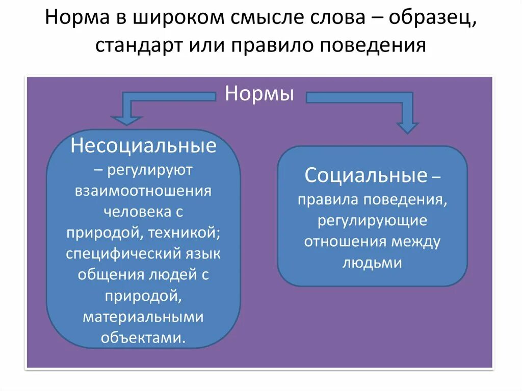 В широком смысле все что создано человеком. Норма в широком смысле. Социальные и несоциальные нормы. Несоциальные нормы поведения. Несоциальные нормы примеры.