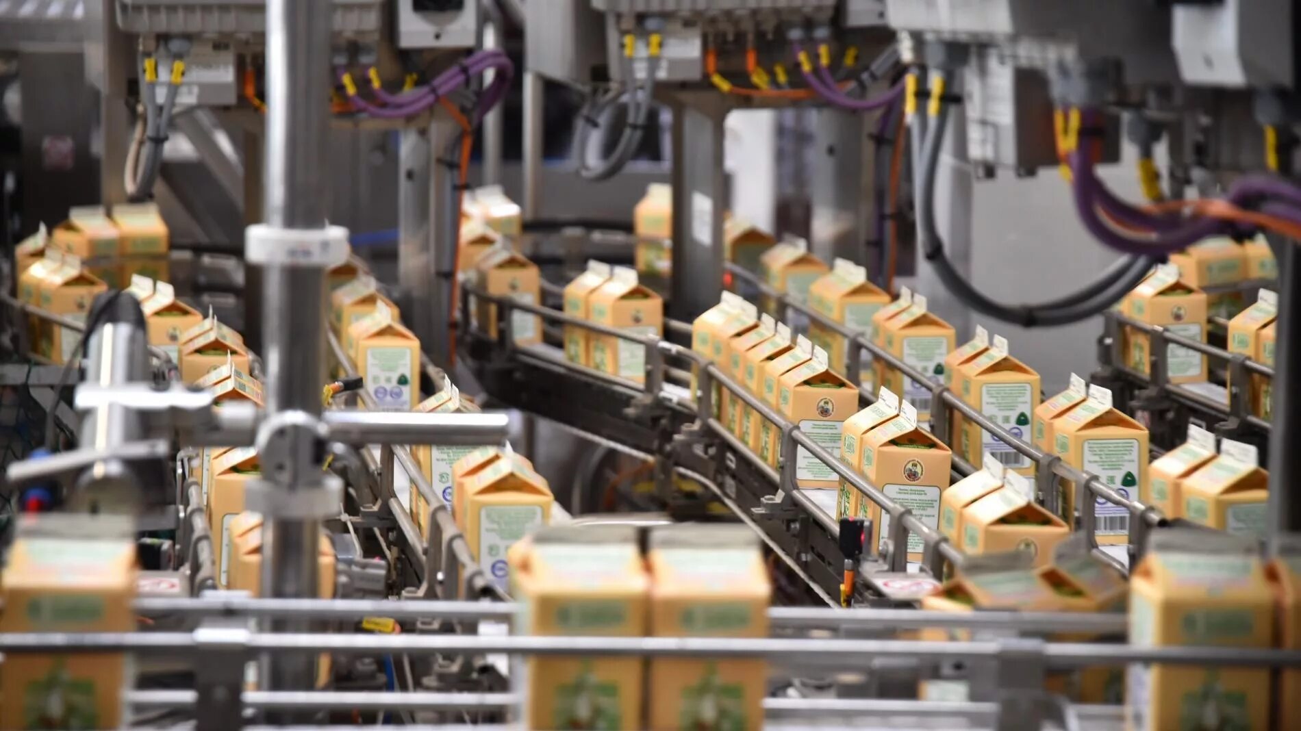 в вологде. племзавод пригородный вологодский район. тверская область сельское хозяйство. экономика вологодской области. хозяйство вологодской области.