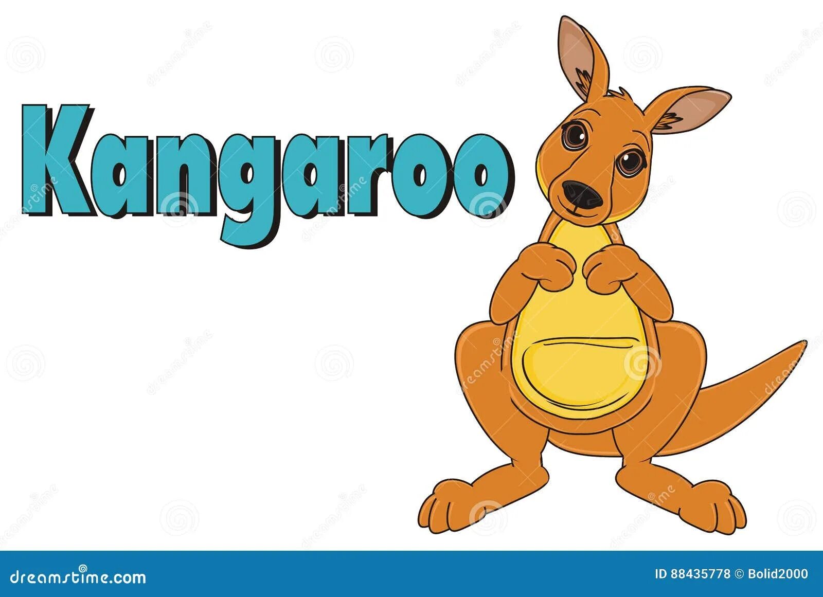 A kangaroo can перевод. Кенгуру на английском. на английском о кенгуру для детей. kangaroo карточка. кенгуру карточка на английском.