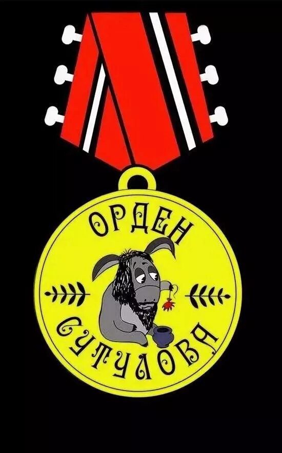Орден сутулова. Орден сутулова. Медаль с закруткой. Орден сутулова фото. Медаль сутулова с закруткой на спине.