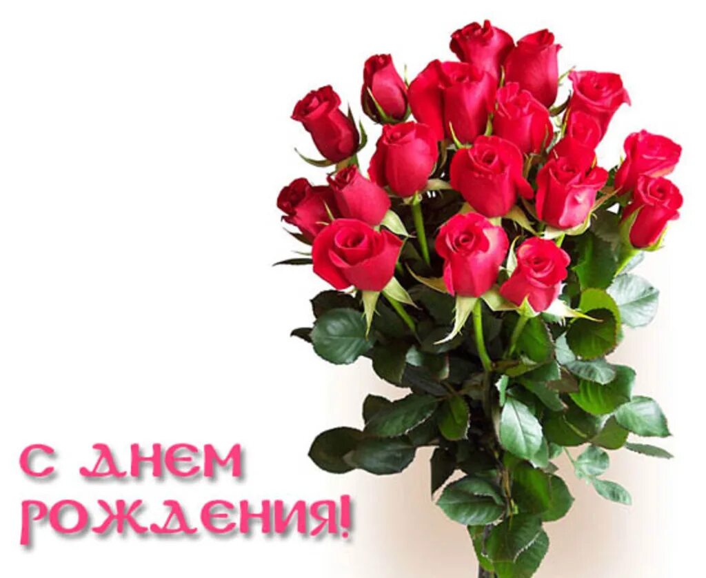 Поздравляем и предлагаем