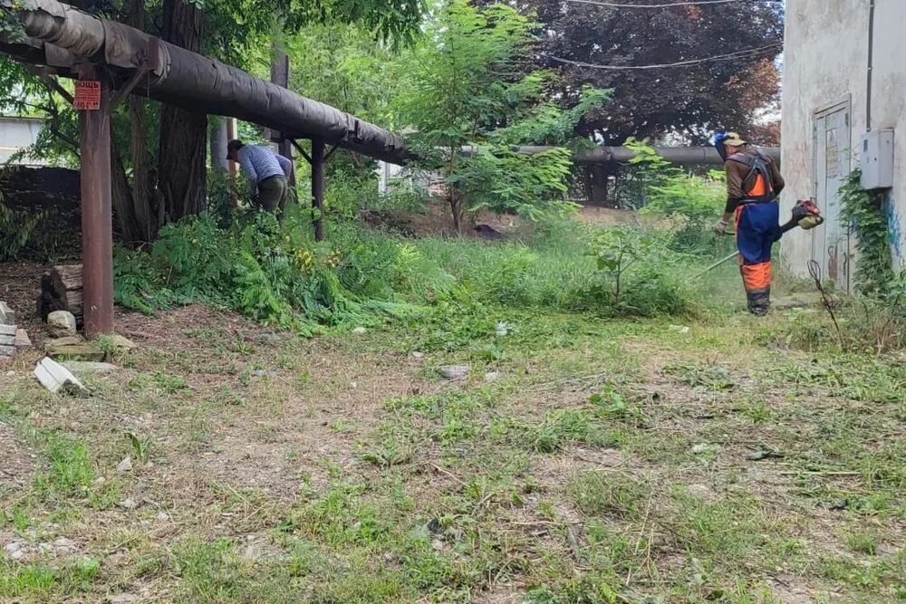 Озеленение в вазонах симферополь центр. Муниципальное бюджетное учреждение симферополя. Летняя уборка городских территорий. Муниципальное бюджетное учреждение симферополя. Директор мбу город симферополь.