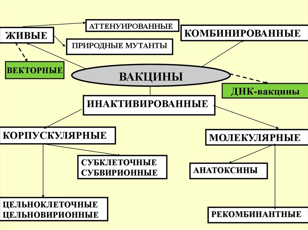 Аттенуированные вакцины это. Классификация иммунобиологических препаратов микробиология. Вакцины схема иммунобиологические препараты. Классификация медицинских иммунобиологических препаратов. Классификация вакцин микробиология.