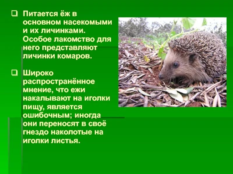 Широко распространенное мнение
