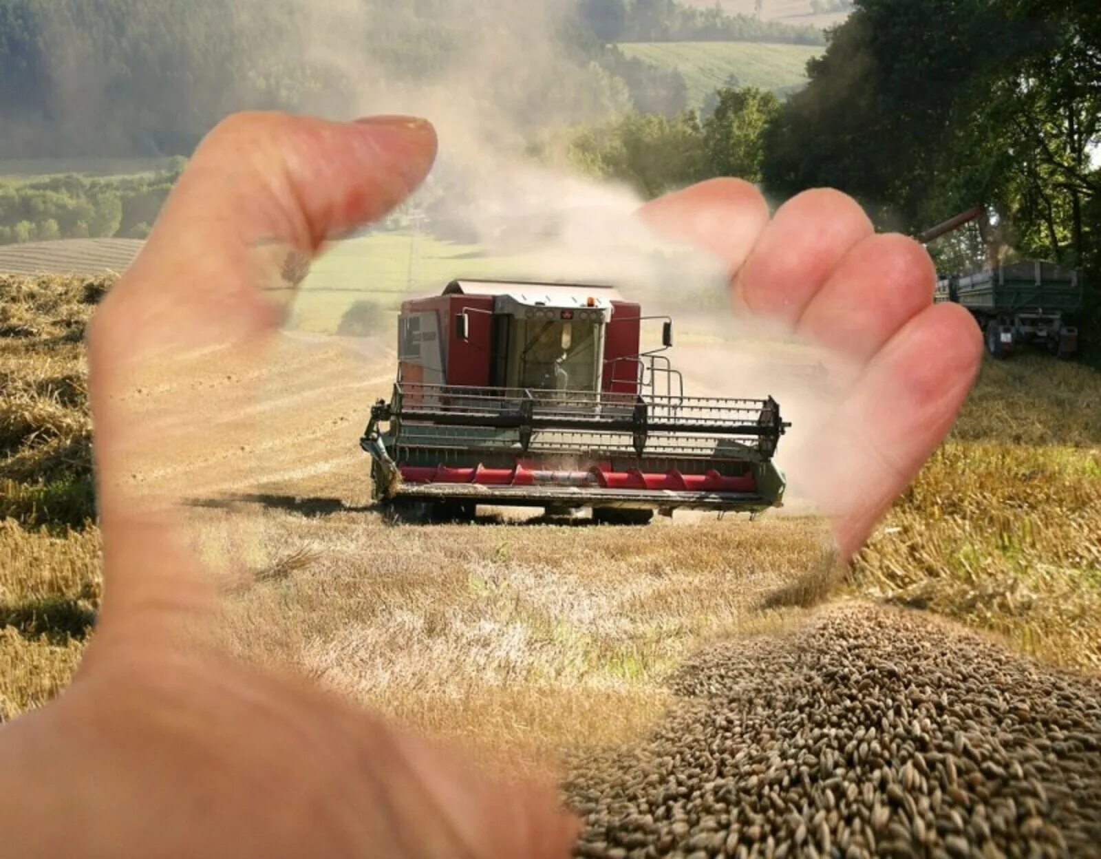 Рукопожатие фермеров. Поддержка сельскохозяйственной кооперации. Сельское хозяйство россии растениеводство. Кооператив в сельском хозяйстве. Сельскохозяйственный кооператив.