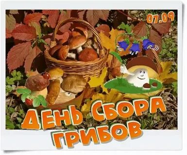 Когда будет день гриба