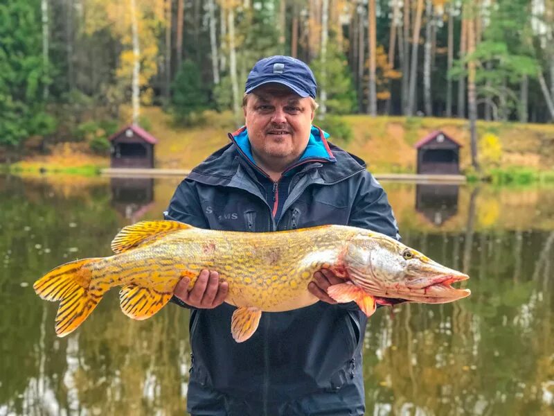 Золотой сазан сайт. Рыбалка на Симферопольском шоссе золотой сазан. Золотой сазан рыбалка Поливаново. Рыбалка золотой сазан Симферопольское.