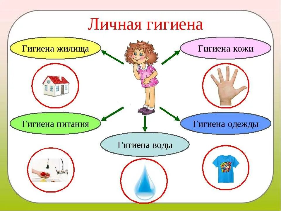 Нарушения правил гигиены. Правила личное гигиены. Правила личной гигиены для детей. Соблюдение правил личной гигиены для детей. Личная гигиена дошкольника.