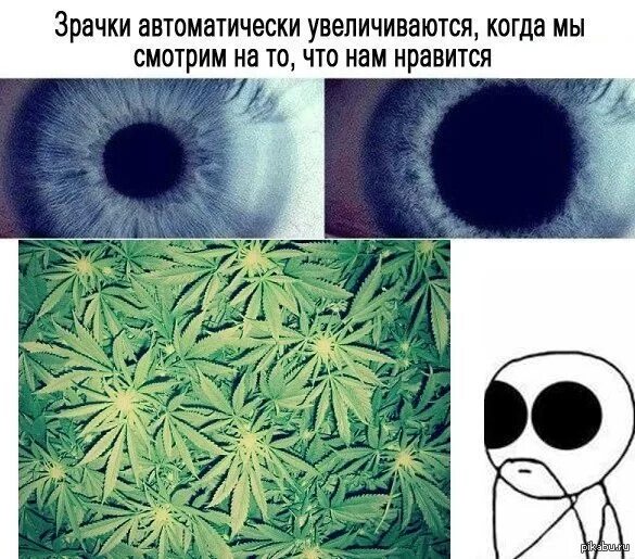 Когда человеку нравится человек расширяются зрачки. Мем про зрачки. мем большие зрачки. наши зрачки расширяются.