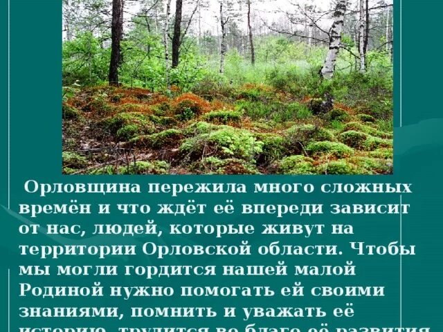 Стихотворение про орловских писателей орловщина. Стихотворение про орловскую область. Орловщина орловское полесье бежин луг. Водные объекты орловского края. Стих орловщина.