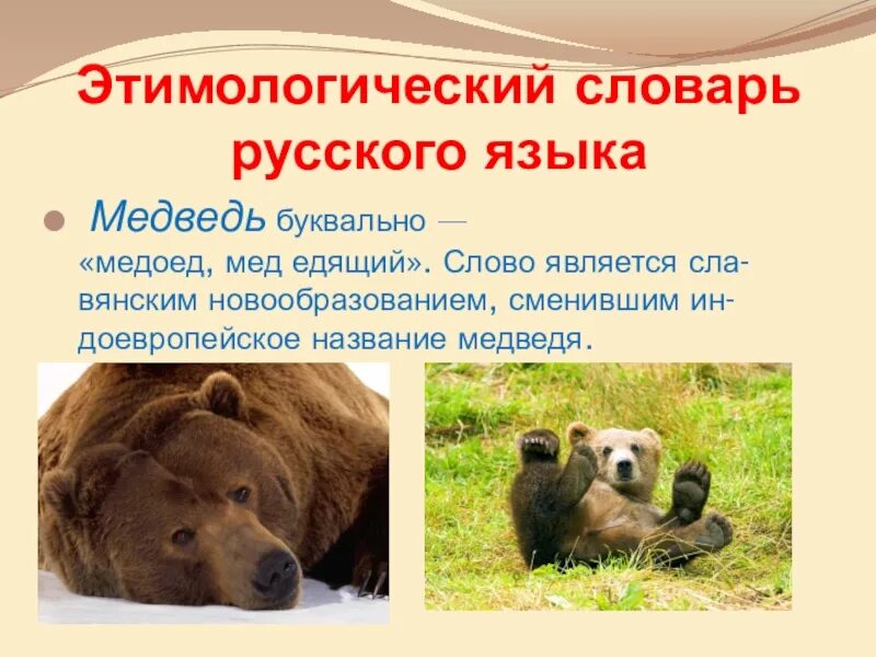 Происхождение слова медведь. Просхождениеслова медведь. Этимология слова медведь. Этимологический словарь слово медведь.