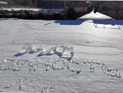 Обезьяна раздолье