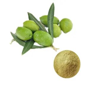 Оливковый экстракт